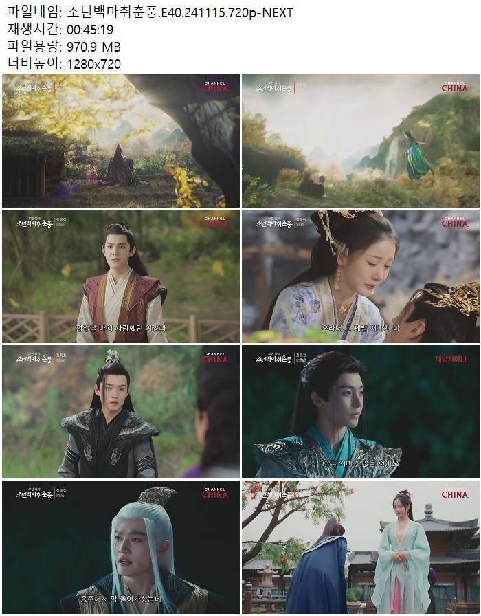 소년백마취춘풍.E40.241115.720p-NEXT