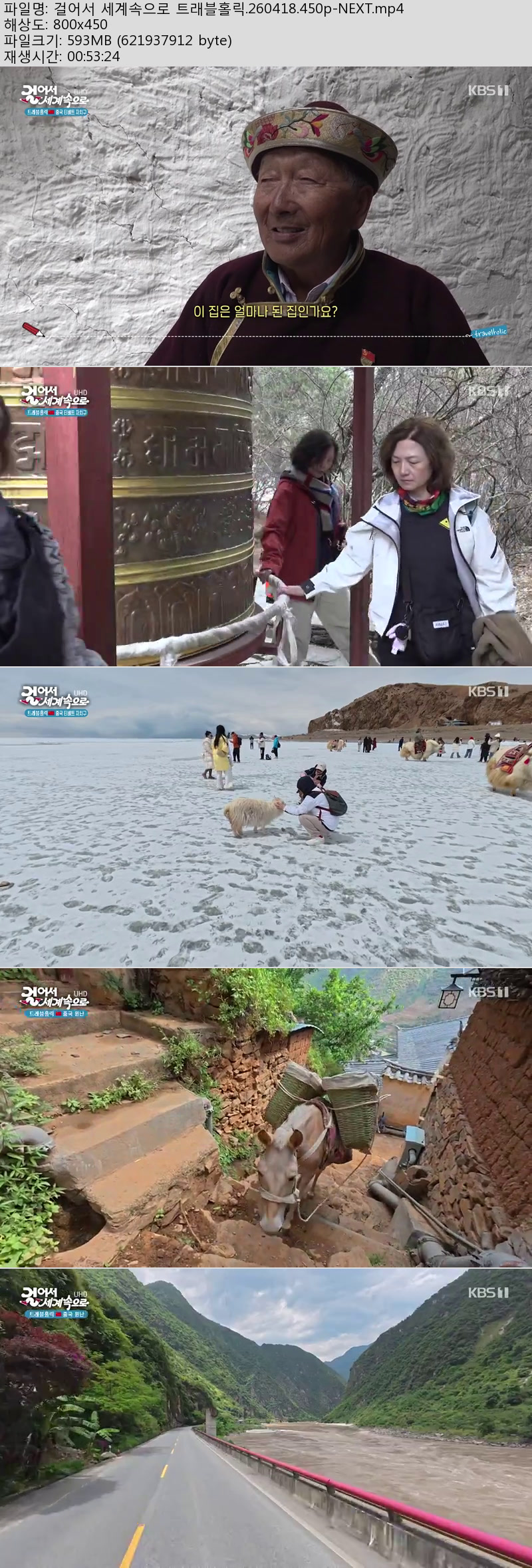 걸어서 세계속으로 트래블홀릭.260418.450p-NEXT