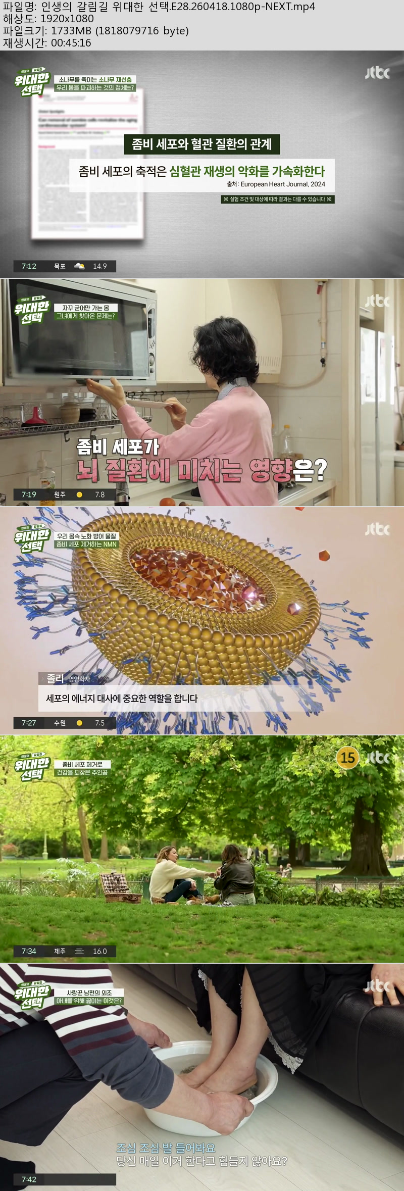 인생의 갈림길 위대한 선택.E28.260418.1080p-NEXT