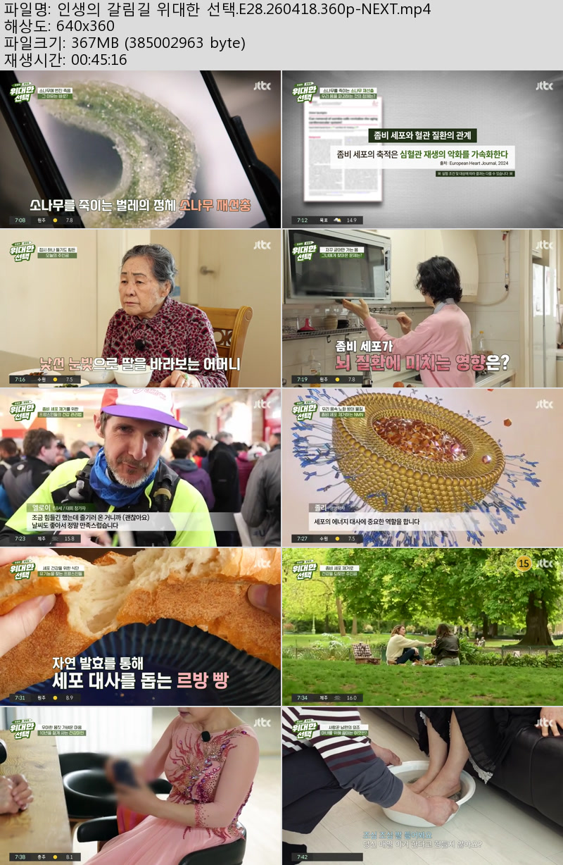 인생의 갈림길 위대한 선택.E28.260418.360p-NEXT