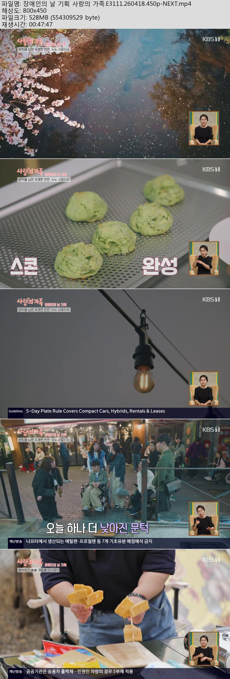 장애인의 날 기획 사랑의 가족.E3111.260418.450p-NEXT