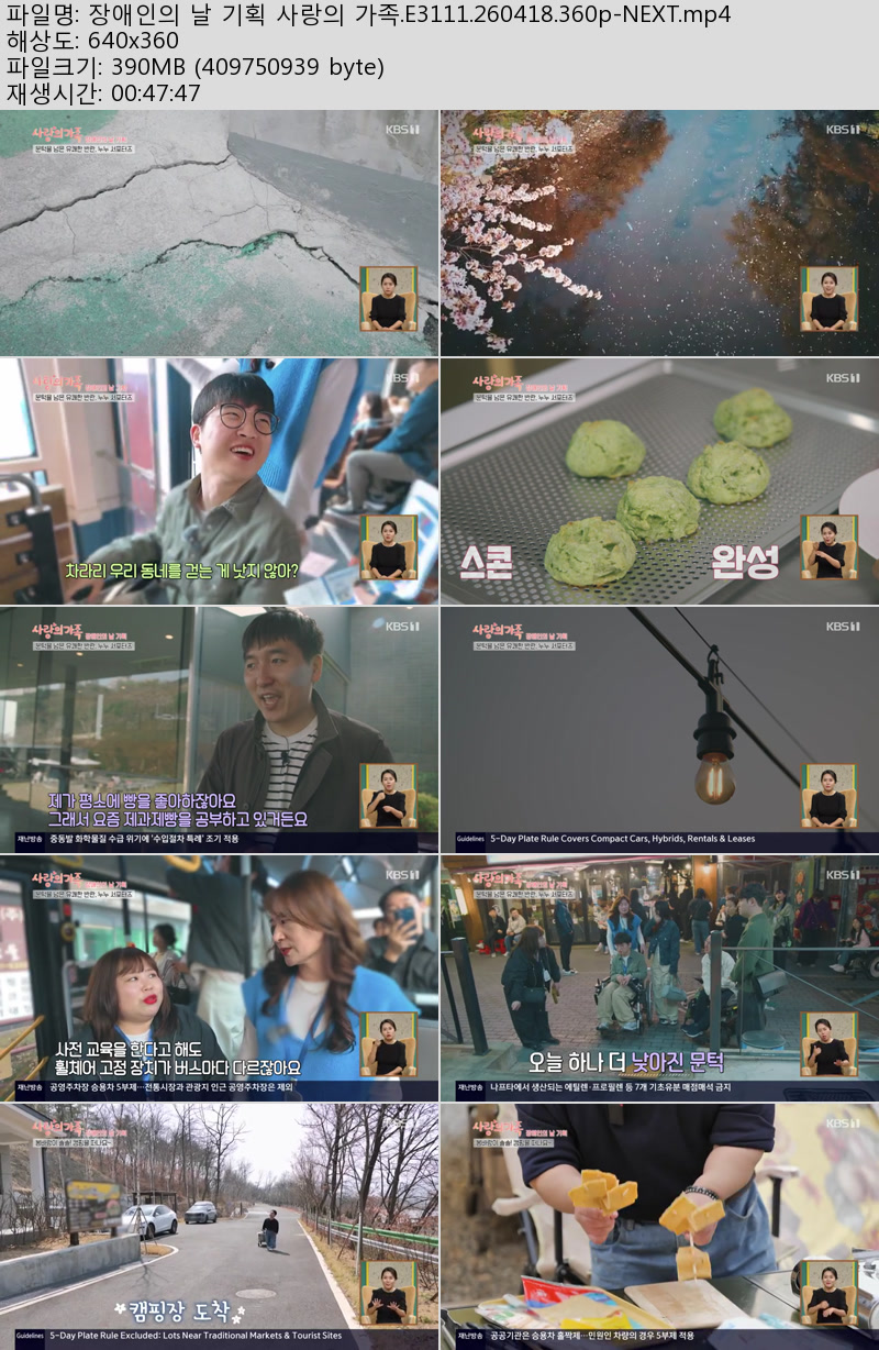 장애인의 날 기획 사랑의 가족.E3111.260418.360p-NEXT