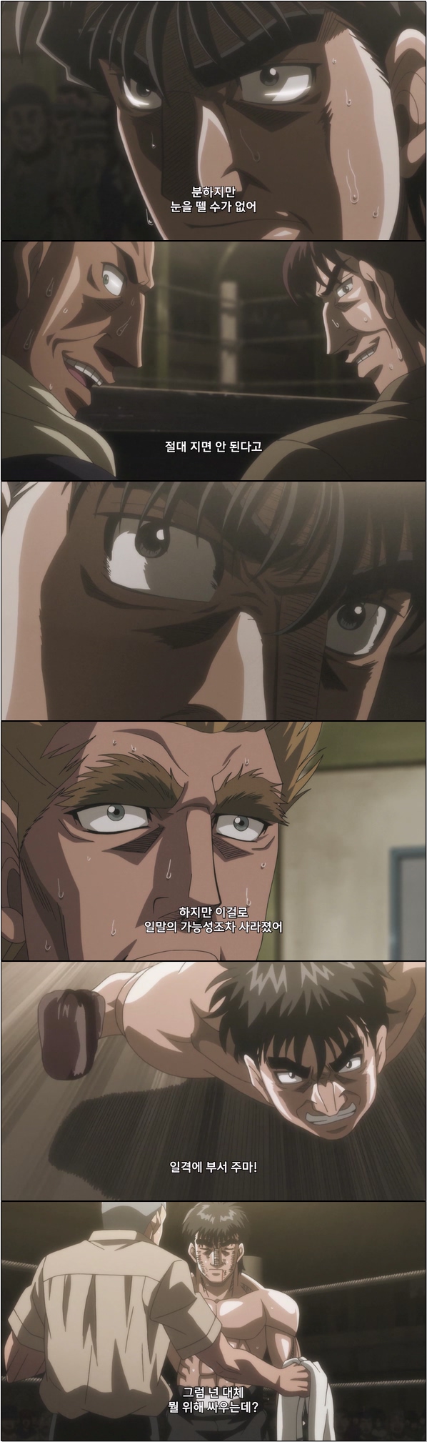 박력 넘치는 복싱 대결 그리고 뜨거운 감동 [더 파이팅 라이징 24화]