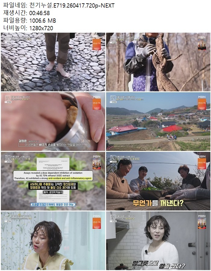 천기누설.E719.260417.720p-NEXT