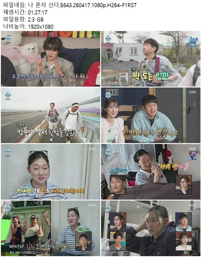 나 혼자 산다.E643.260417.1080p.H264-F1RST