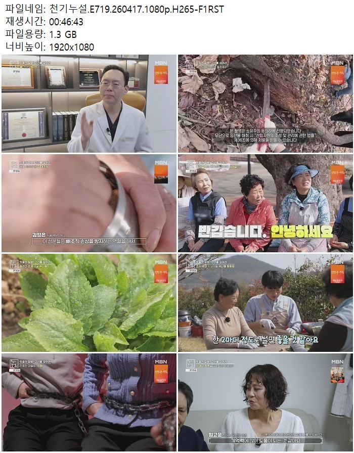 천기누설.E719.260417.1080p.H265-F1RST