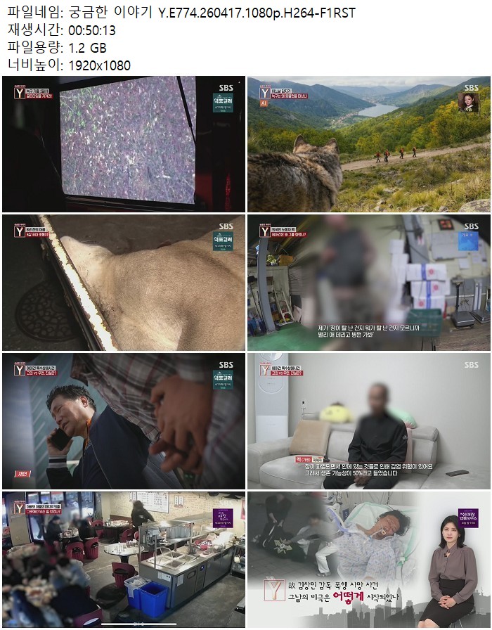 궁금한 이야기 Y.E774.260417.1080p.H264