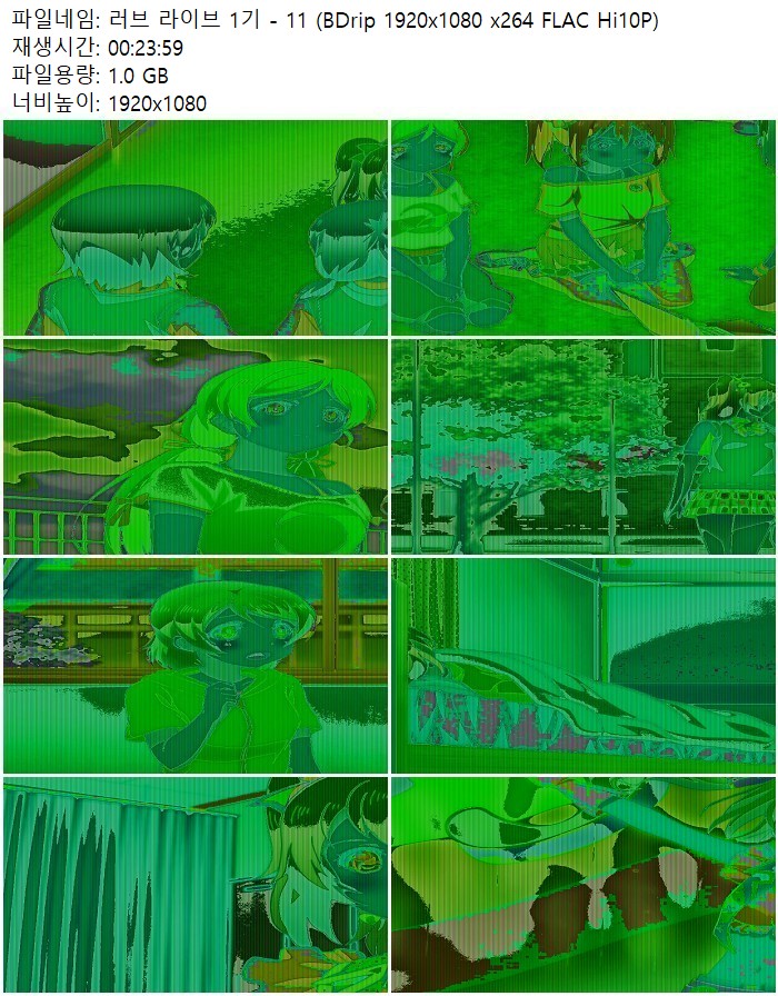 러브 라이브 1기 - 11 (BDrip 1920x1080 x264 FLAC Hi10P)