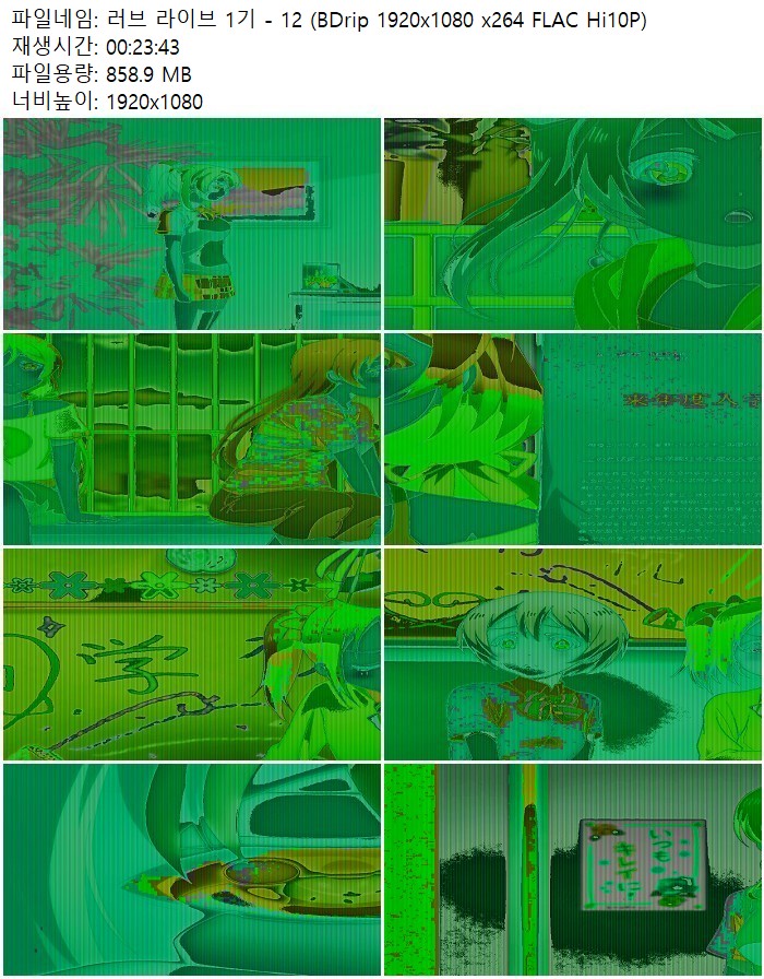 러브 라이브 1기 - 12 (BDrip 1920x1080 x264 FLAC Hi10P)