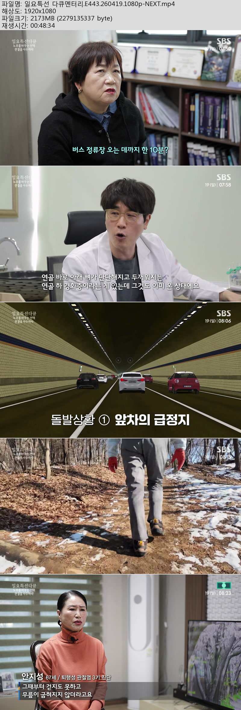 일요특선 다큐멘터리.E443.260419.1080p-NEXT