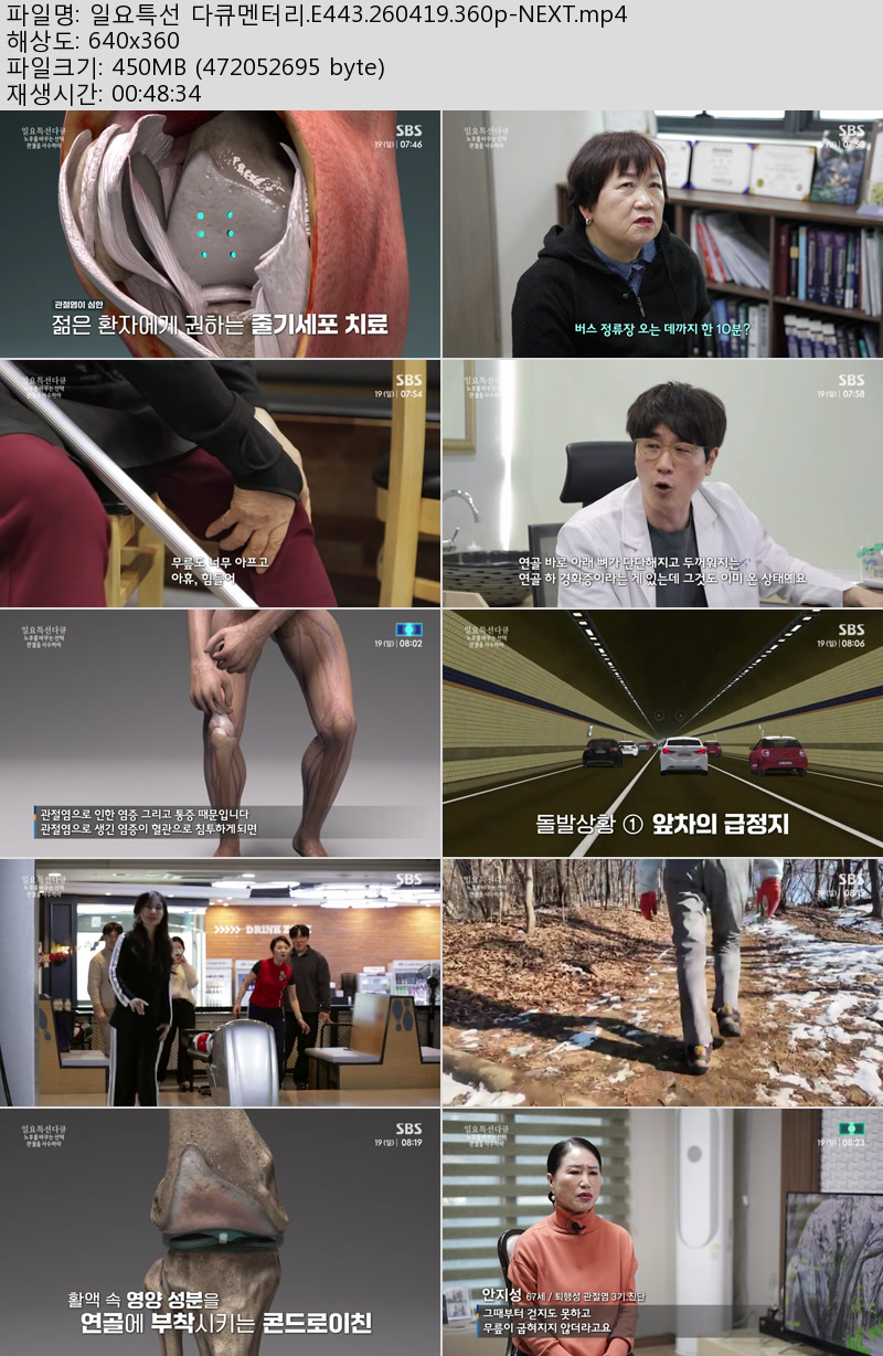 일요특선 다큐멘터리.E443.260419.360p-NEXT