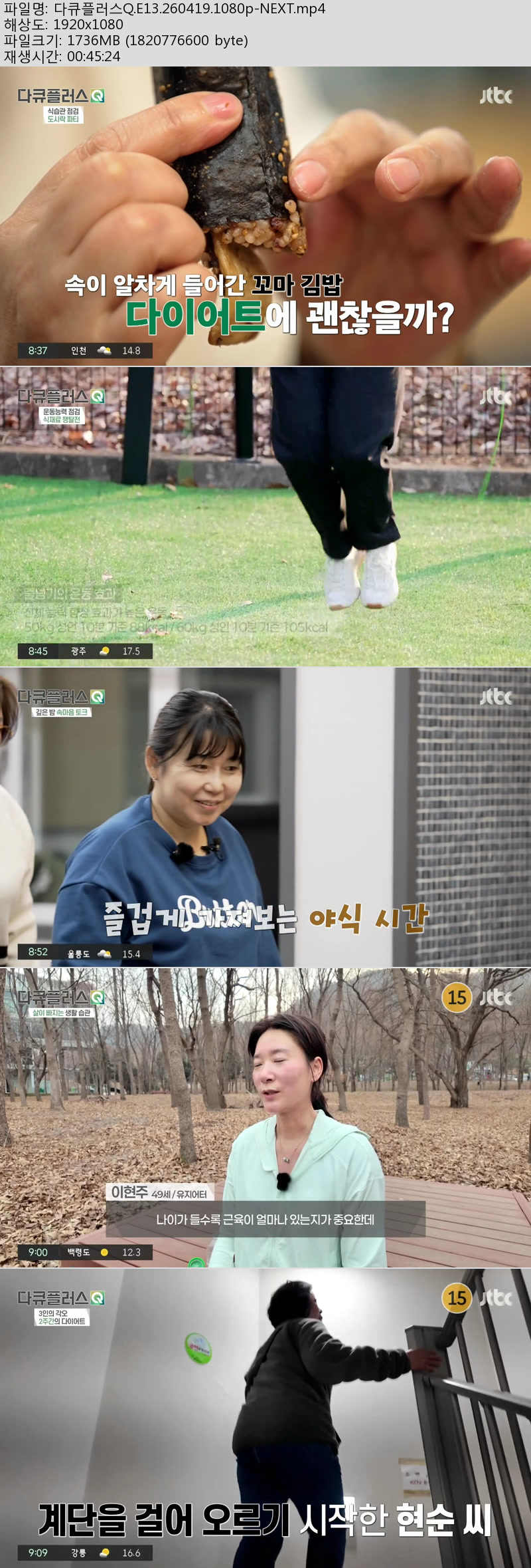 다큐플러스Q.E13.260419.1080p-NEXT