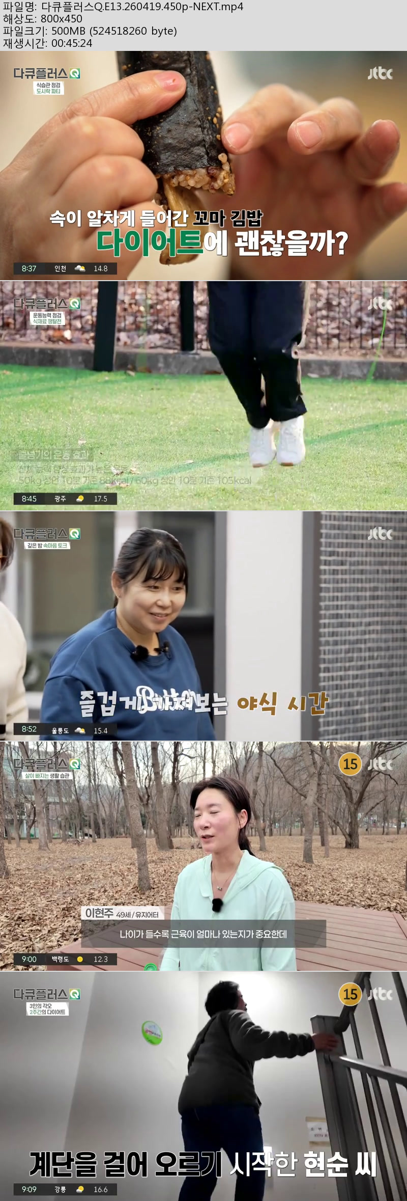 다큐플러스Q.E13.260419.450p-NEXT