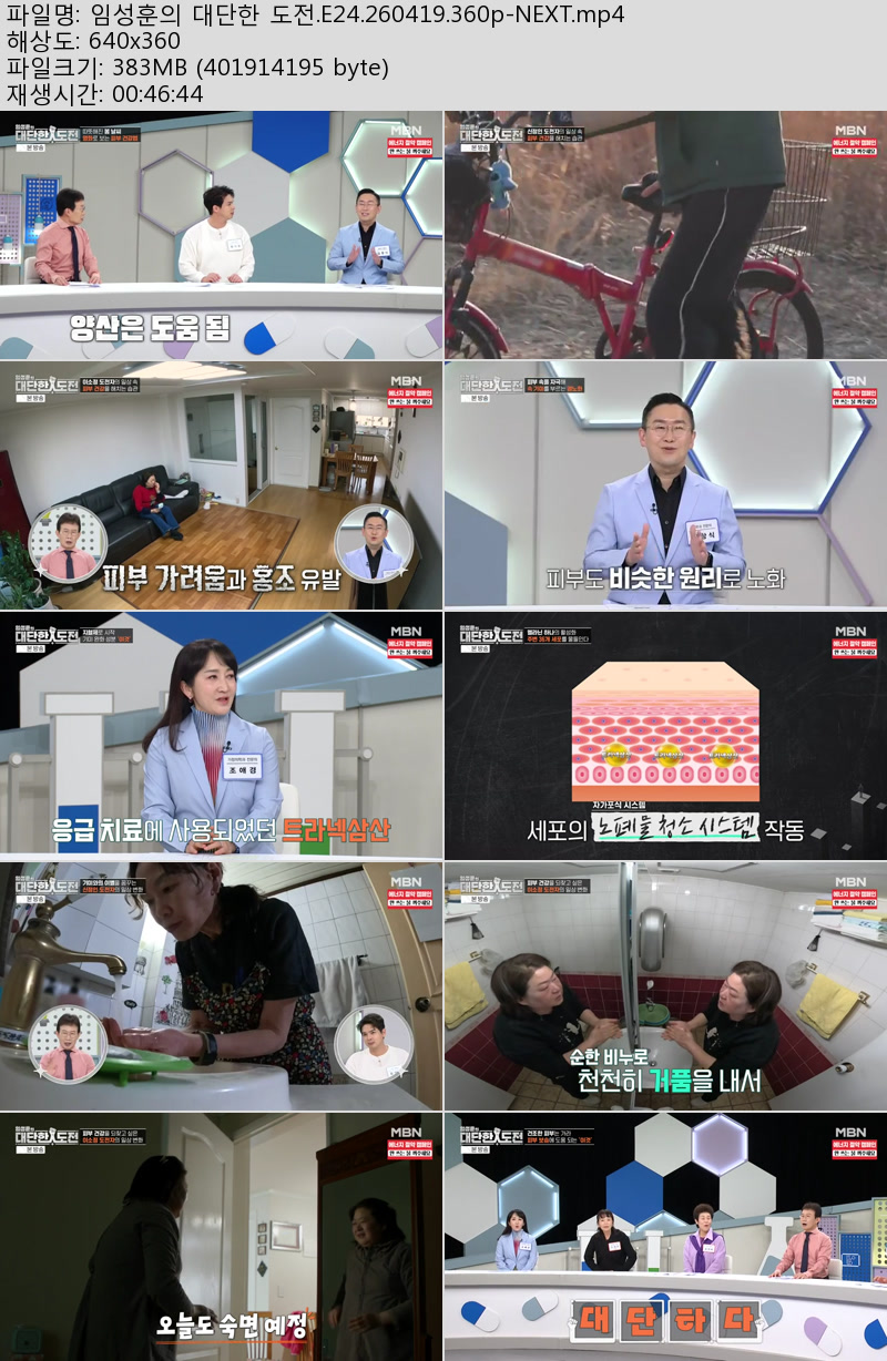 임성훈의 대단한 도전.E24.260419.360p-NEXT