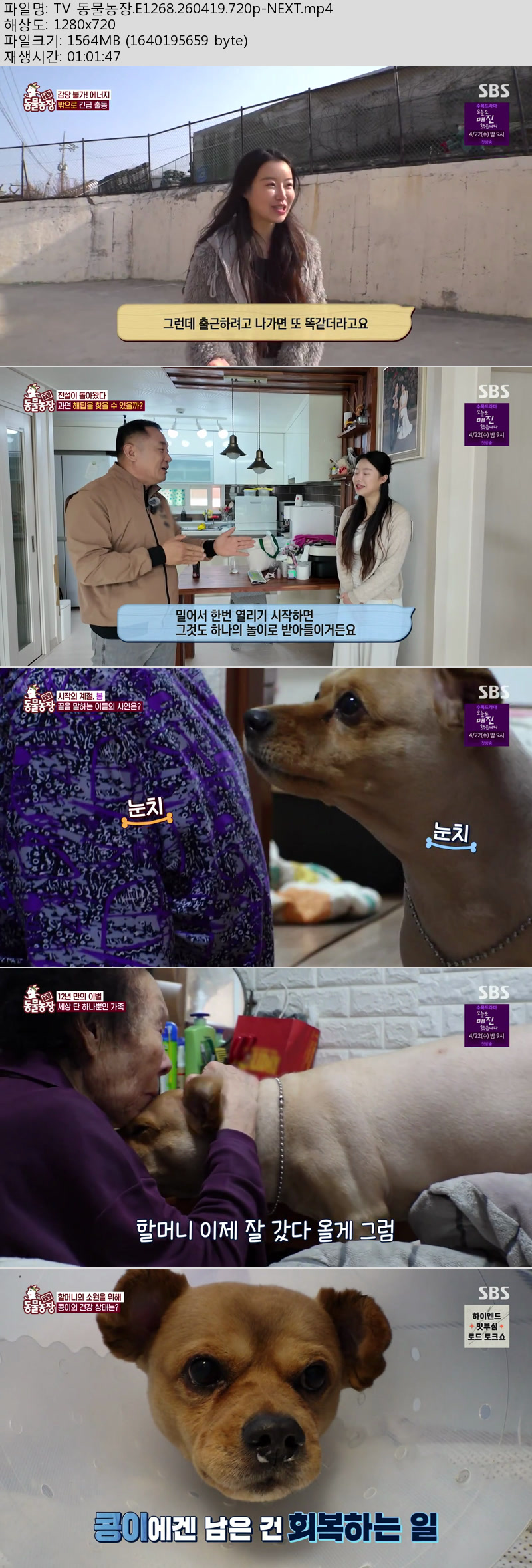 TV 동물농장.E1268.260419.720p-NEXT