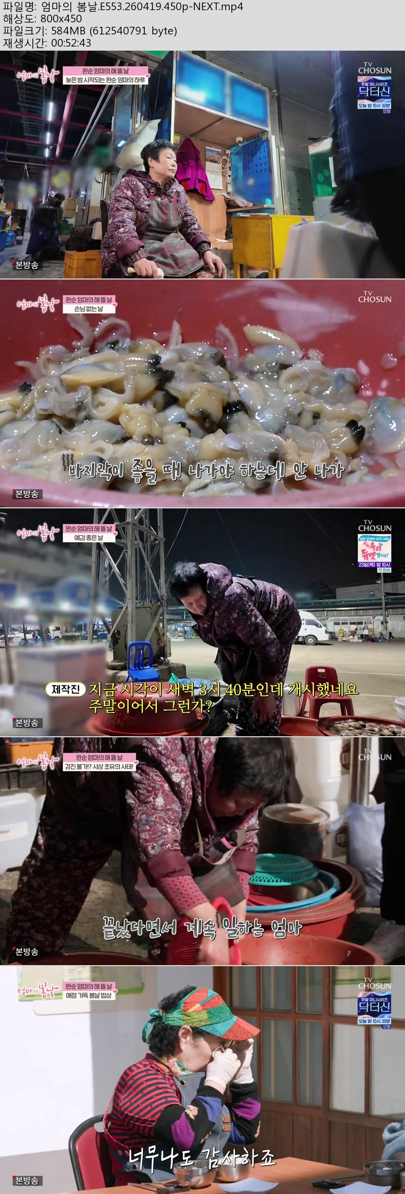 엄마의 봄날.E553.260419.450p-NEXT