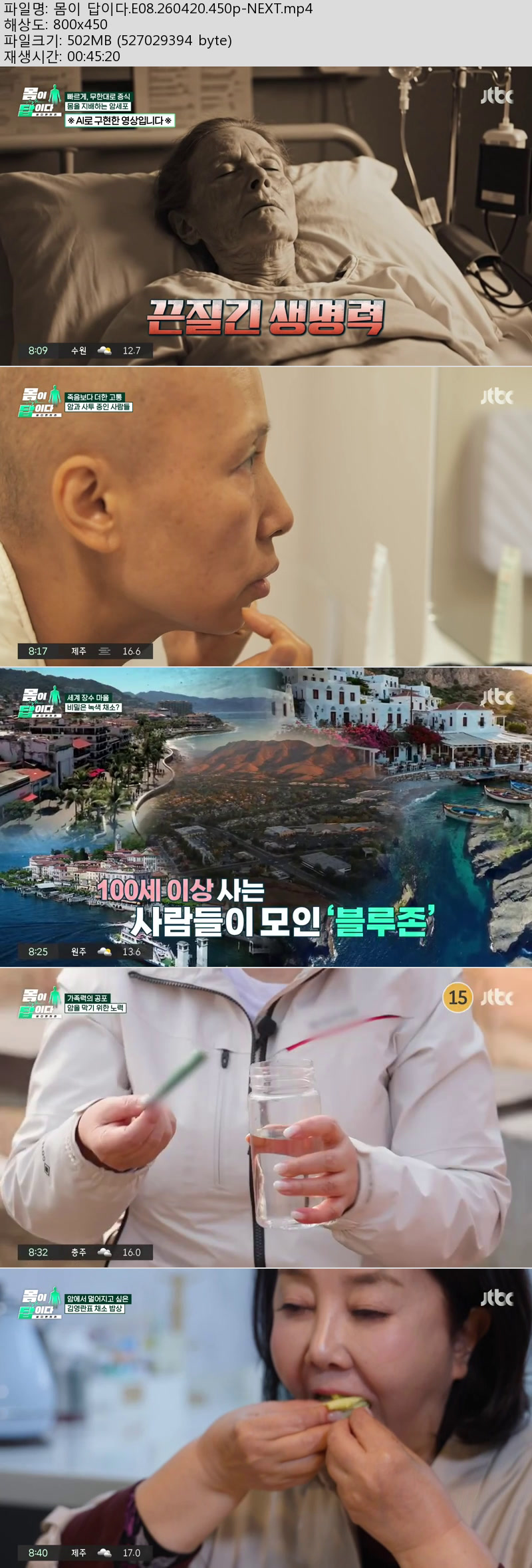 몸이 답이다.E08.260420.450p-NEXT