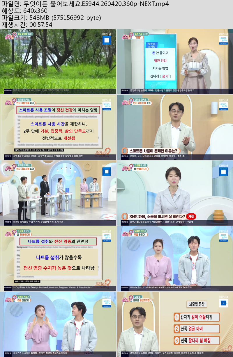 무엇이든 물어보세요.E5944.260420.360p-NEXT