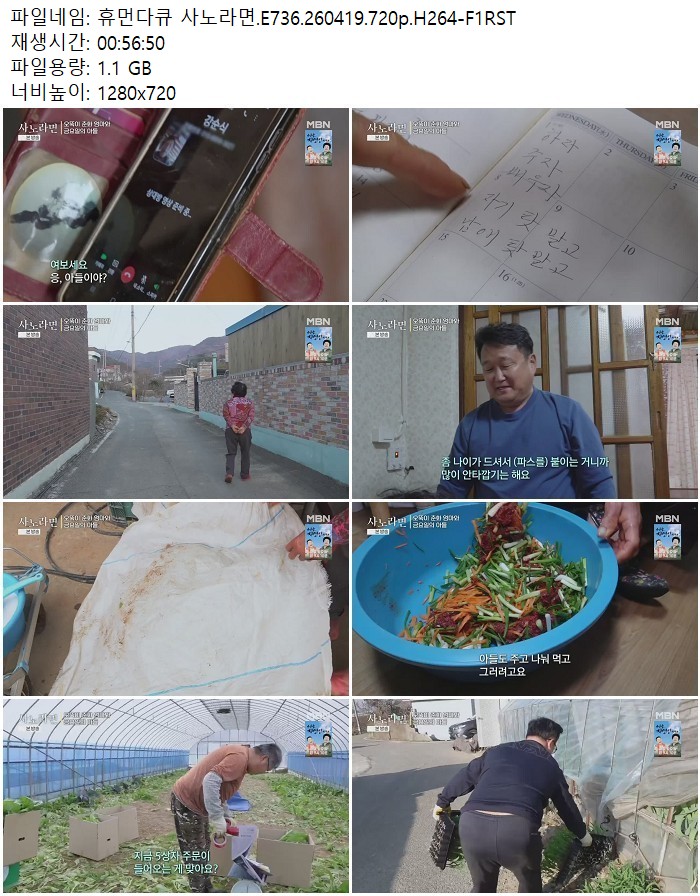 휴먼다큐 사노라면.E736.260419.720p.H264