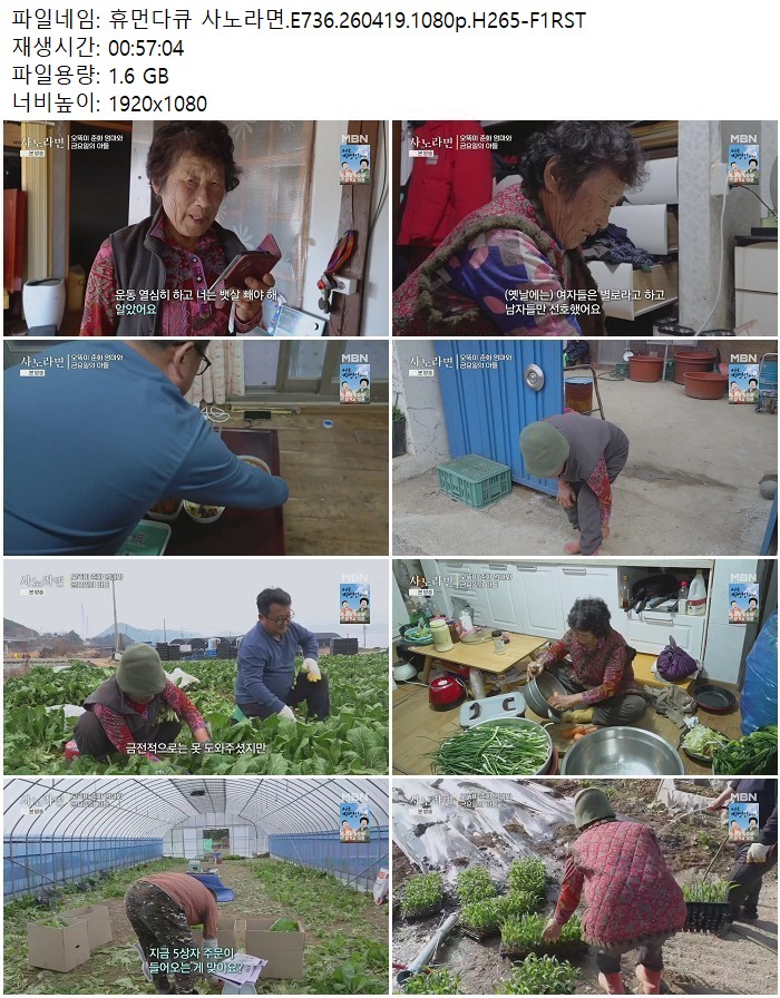 휴먼다큐 사노라면.E736.260419.1080p.H265