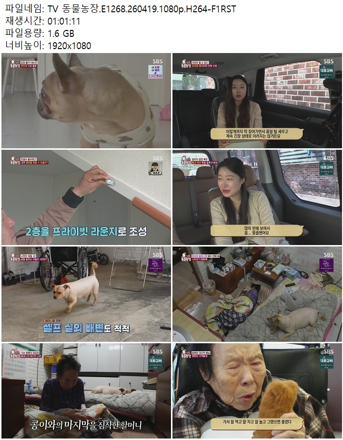 TV 동물농장.E1268.260419.1080p.H264