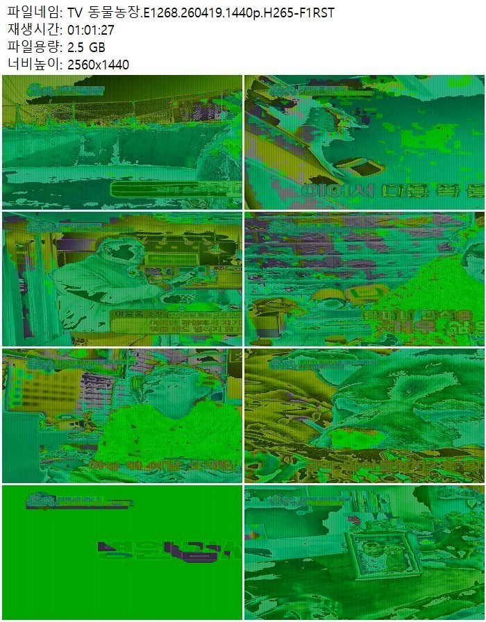 TV 동물농장.E1268.260419.1440p.H265