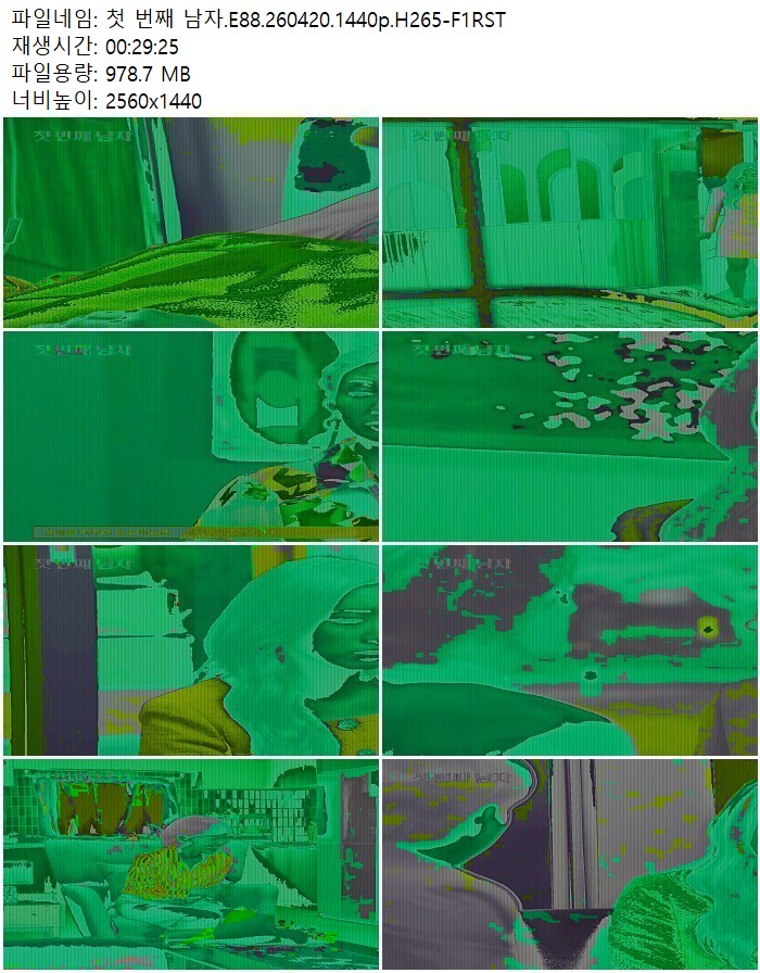 첫 번째 남자.E88.260420.1440p.H265