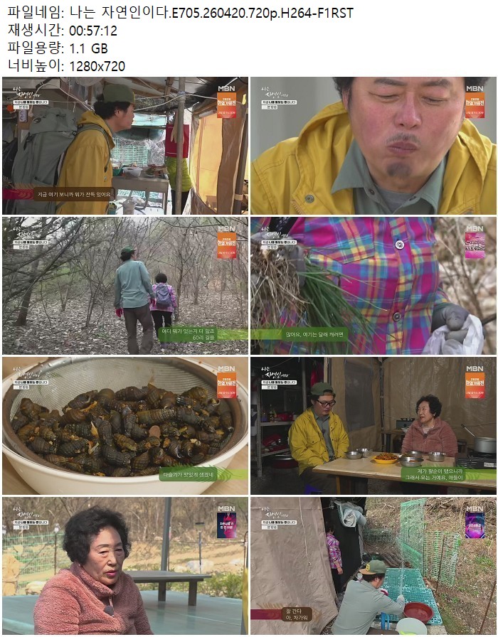 나는 자연인이다.E705.260420.720p.H264