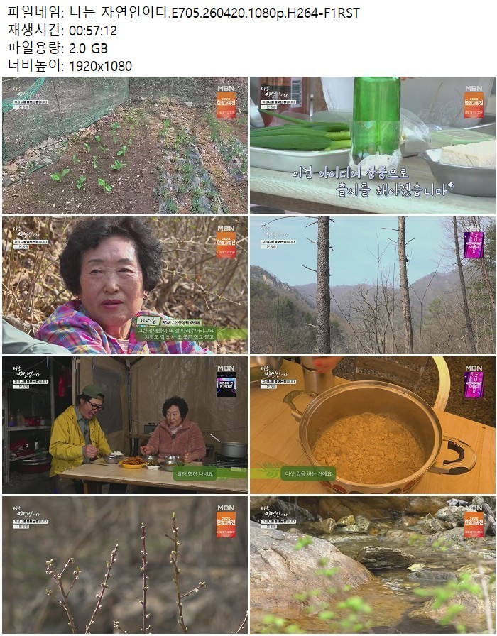나는 자연인이다.E705.260420.1080p.H264