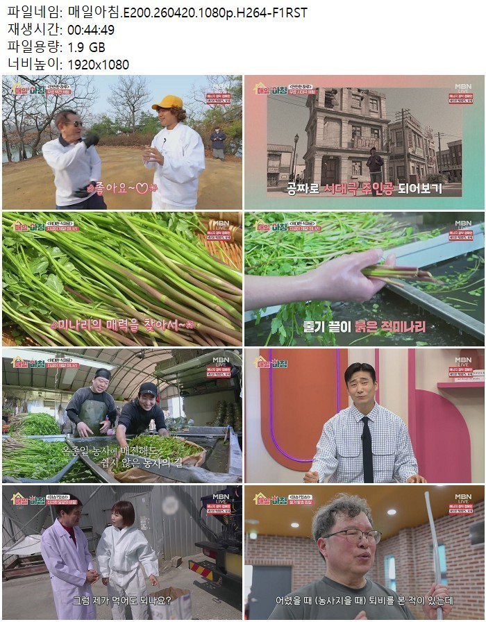 매일아침.E200.260420.1080p.H264