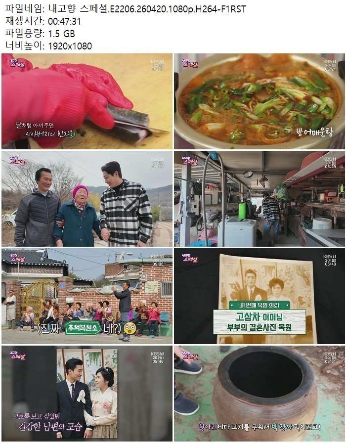 내고향 스페셜.E2206.260420.1080p.H264