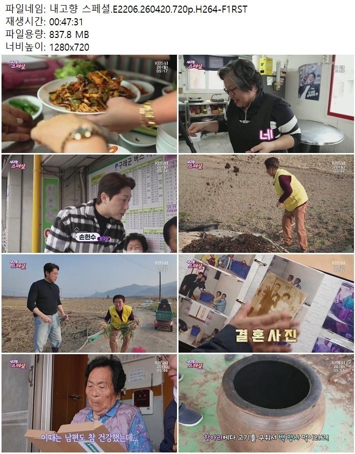 내고향 스페셜.E2206.260420.720p.H264