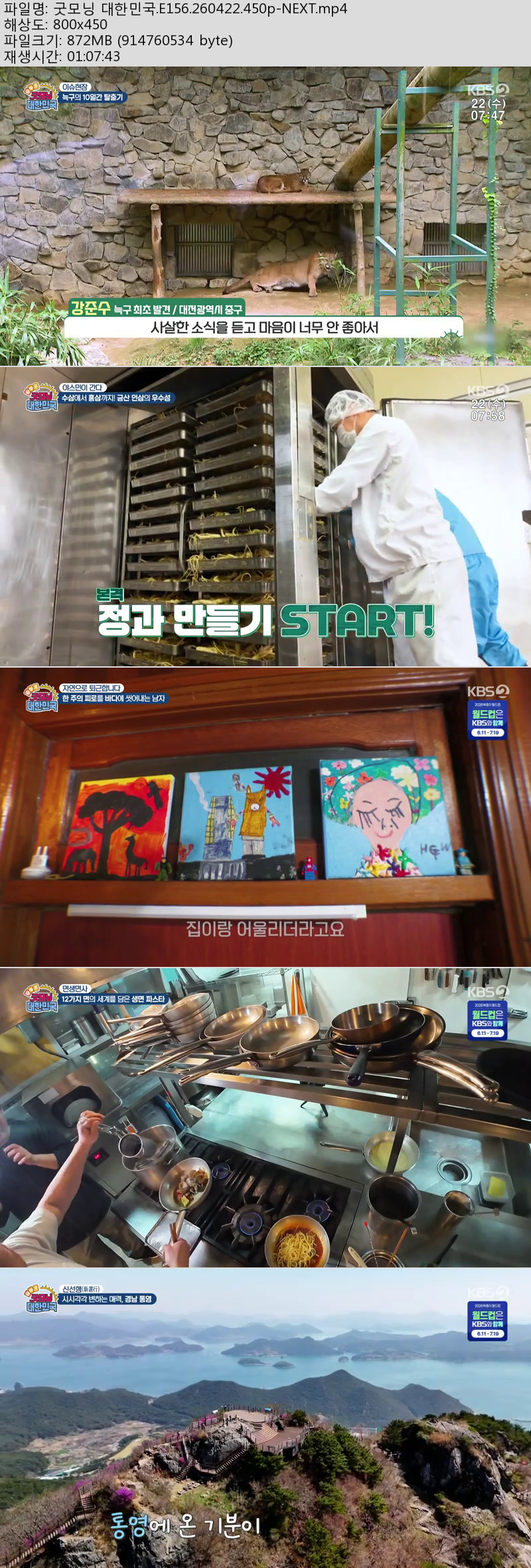 굿모닝 대한민국.E156.260422.450p-NEXT