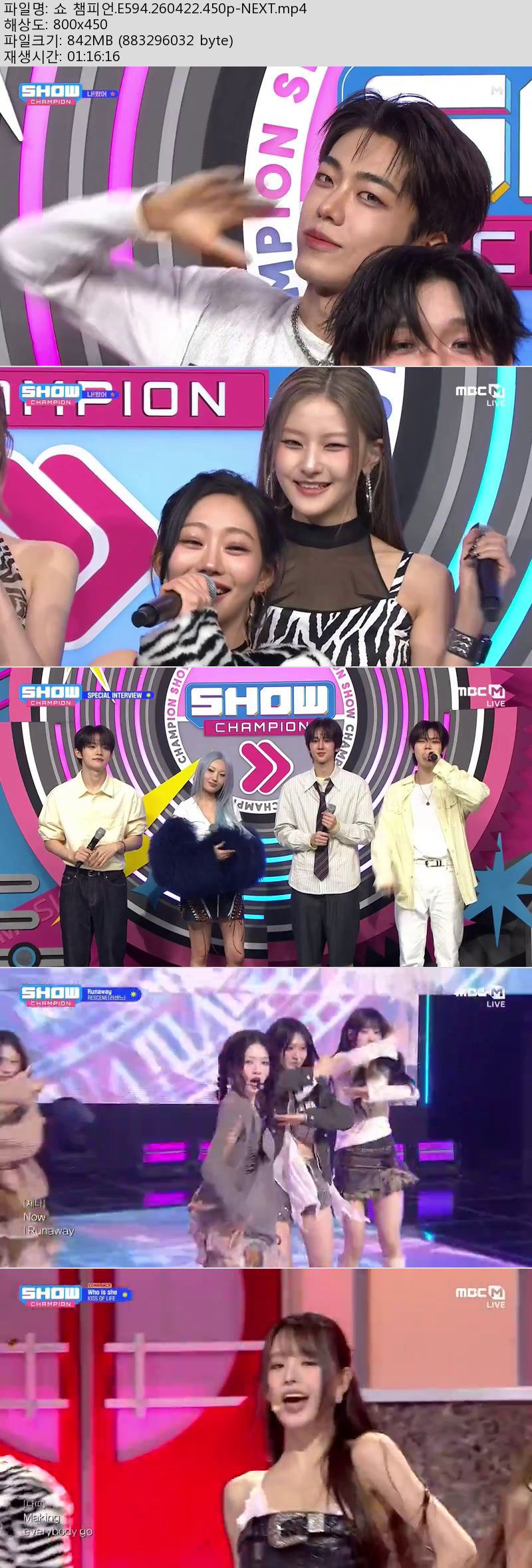 쇼 챔피언.E594.260422.450p-NEXT