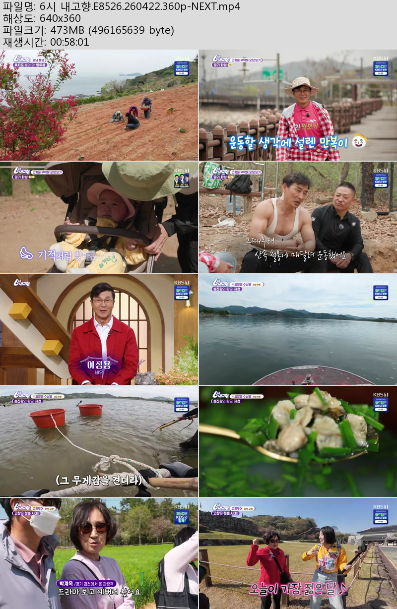 6시 내고향.E8526.260422.360p-NEXT
