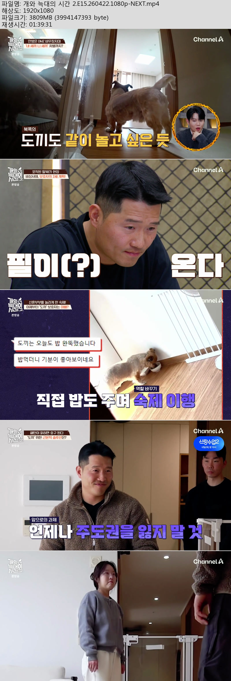 개와 늑대의 시간 2.E15.260422.1080p-NEXT