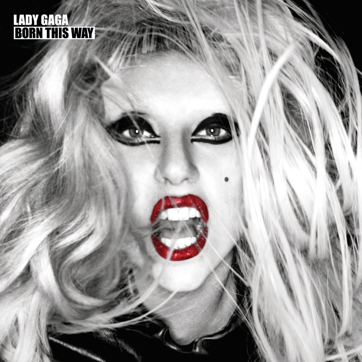 Lady Gaga [2011 Born This Way - The Collection] (FLAC)