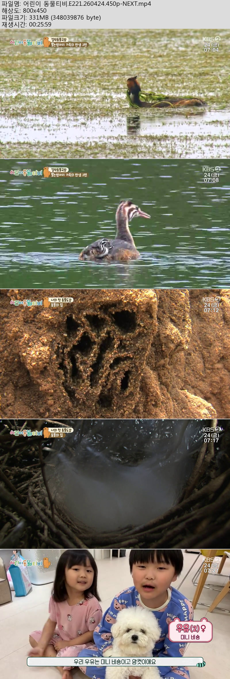 어린이 동물티비.E221.260424.450p-NEXT