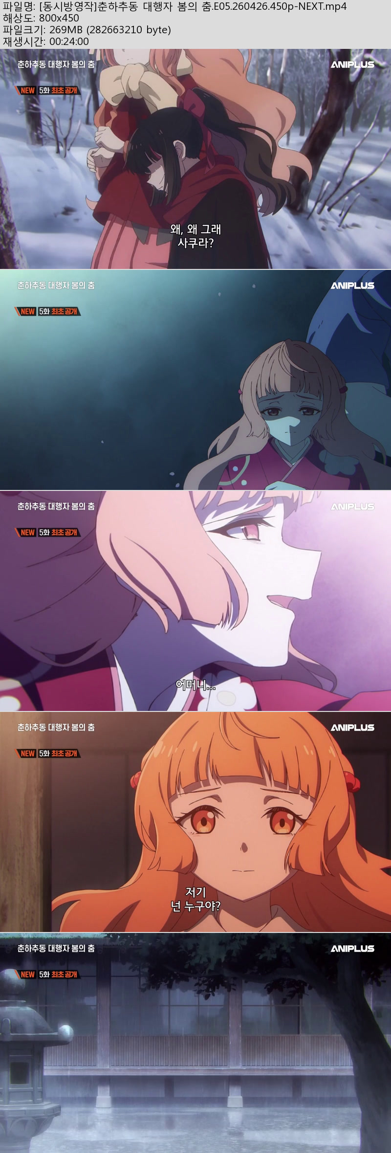 [동시방영작]춘하추동 대행자 봄의 춤.E05.260426.450p-NEXT