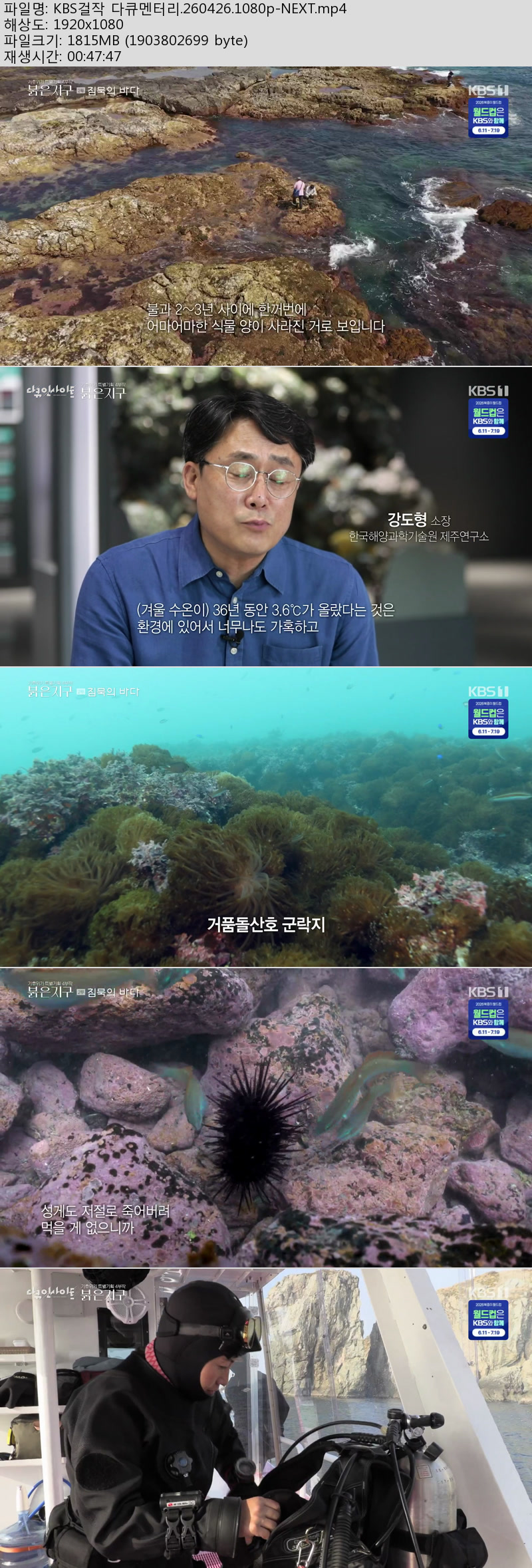 KBS걸작 다큐멘터리.260426.1080p-NEXT