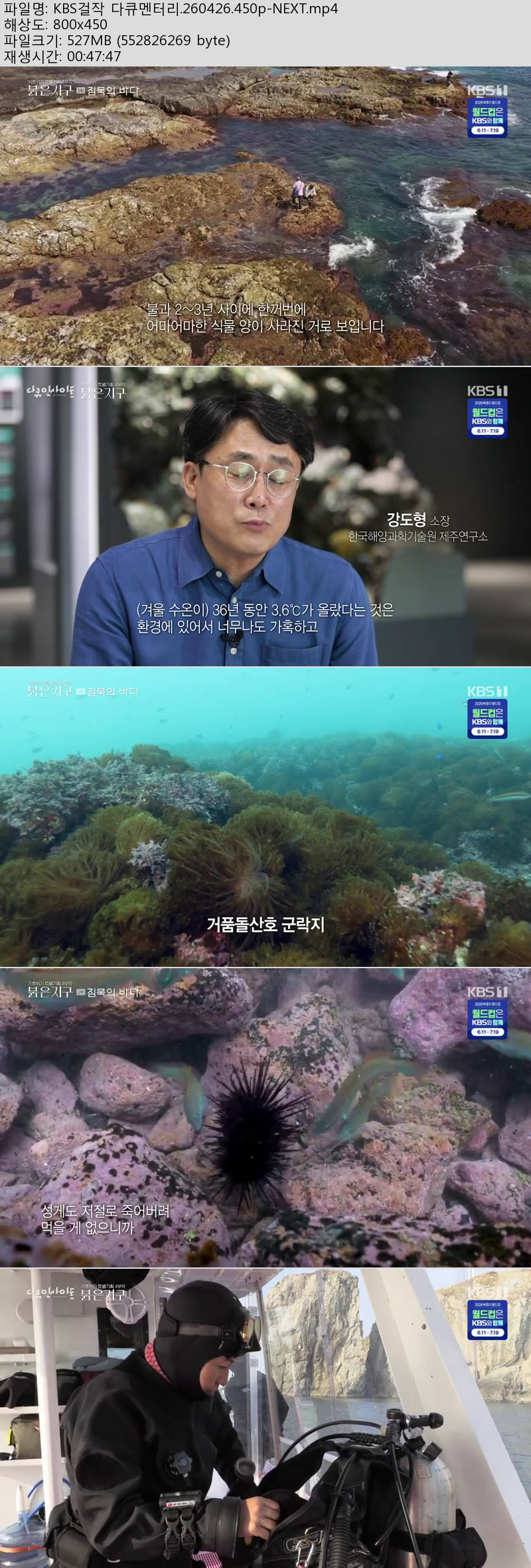 KBS걸작 다큐멘터리.260426.450p-NEXT