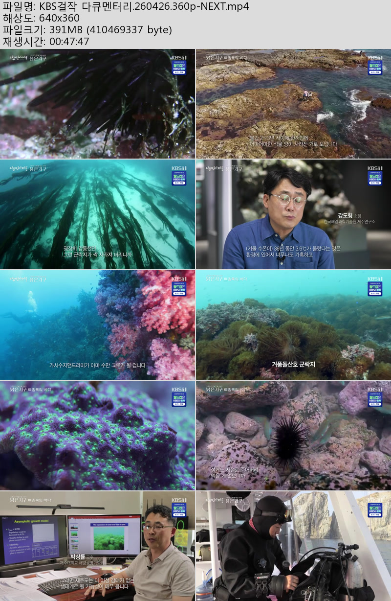 KBS걸작 다큐멘터리.260426.360p-NEXT