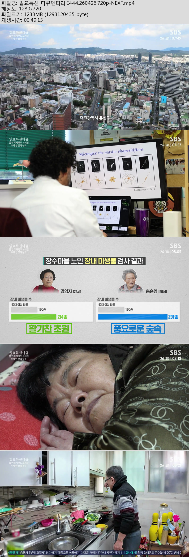 일요특선 다큐멘터리.E444.260426.720p-NEXT