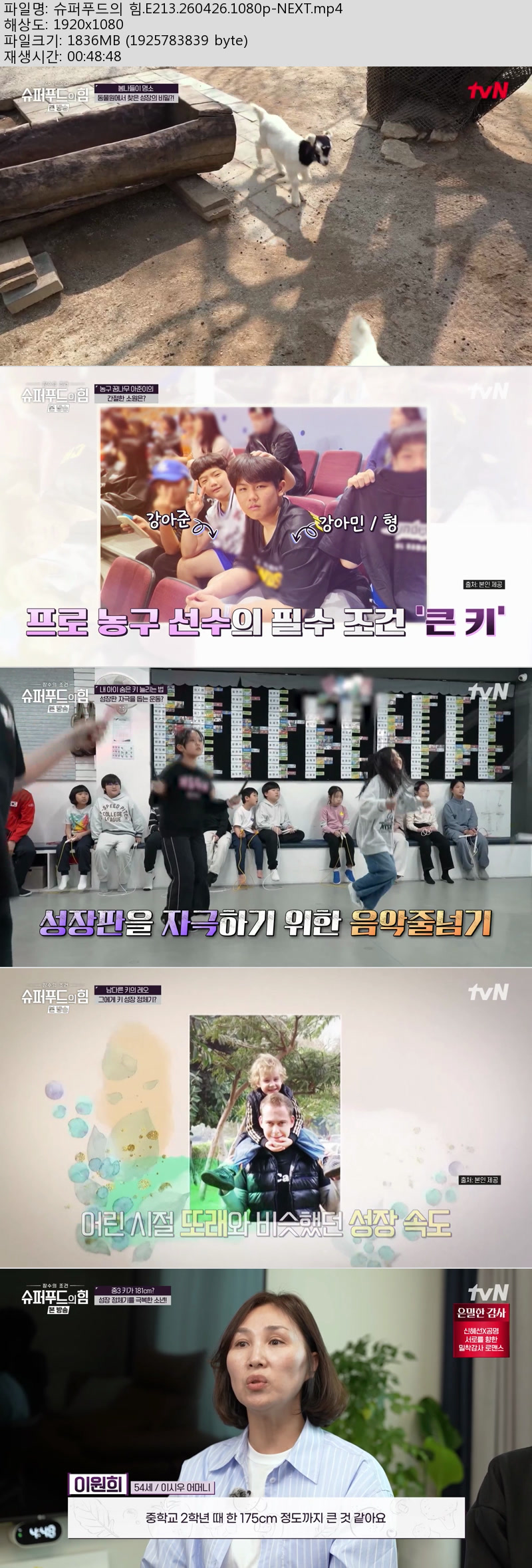 슈퍼푸드의 힘.E213.260426.1080p-NEXT