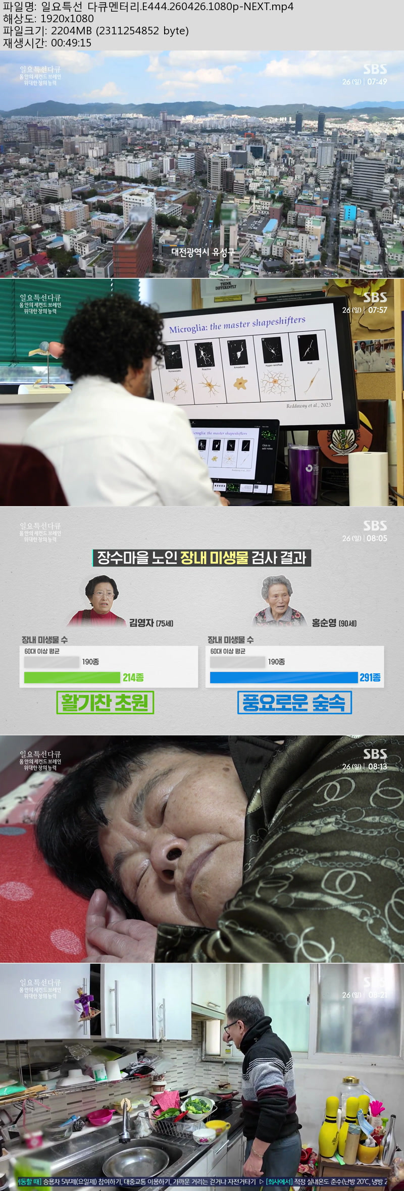 일요특선 다큐멘터리.E444.260426.1080p-NEXT