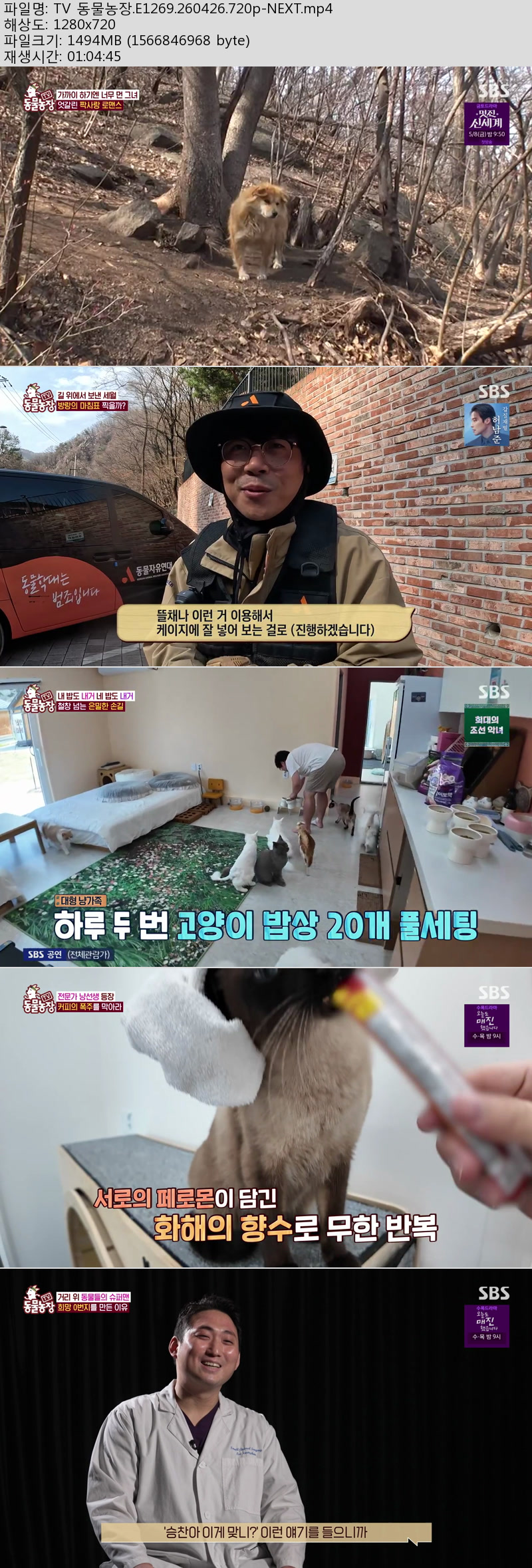 TV 동물농장.E1269.260426.720p-NEXT