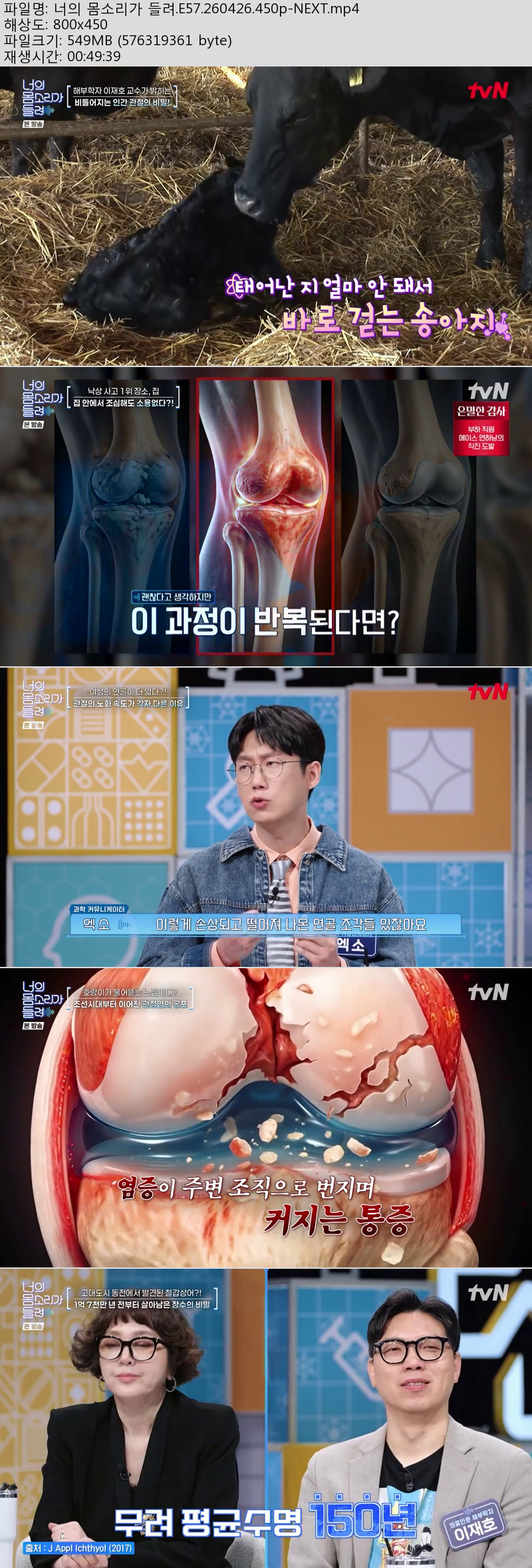 너의 몸소리가 들려.E57.260426.450p-NEXT