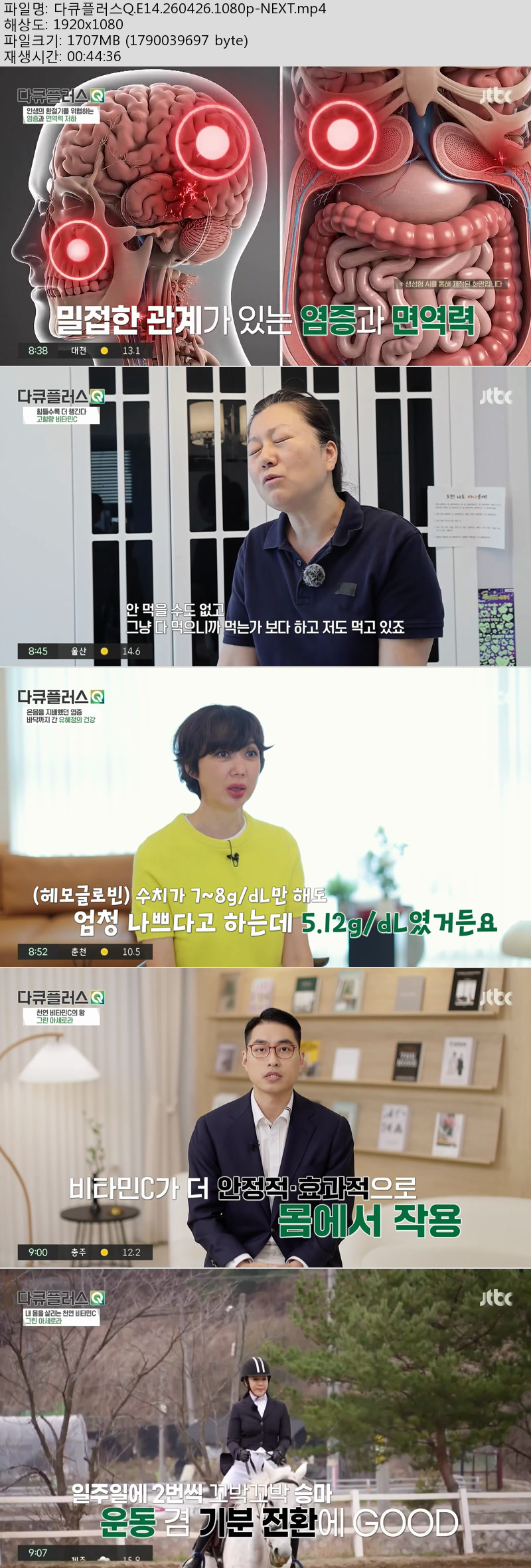 다큐플러스Q.E14.260426.1080p-NEXT