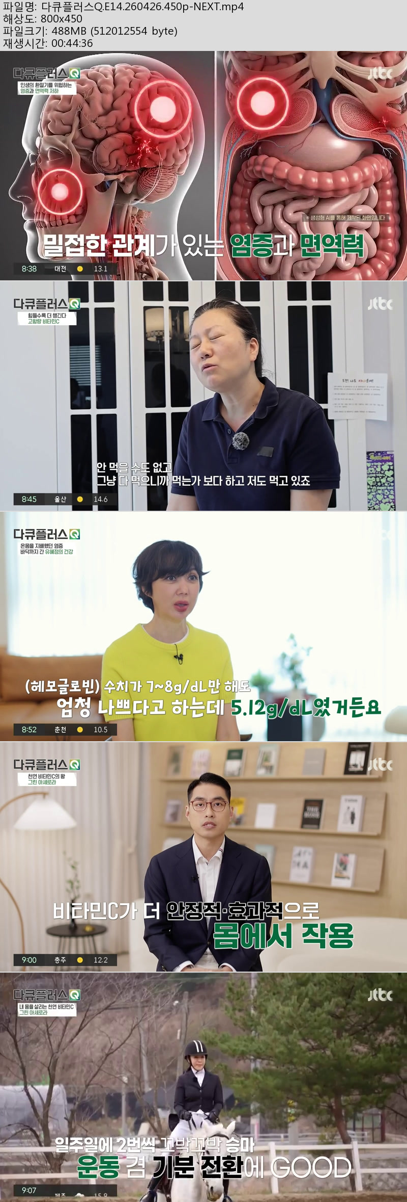 다큐플러스Q.E14.260426.450p-NEXT