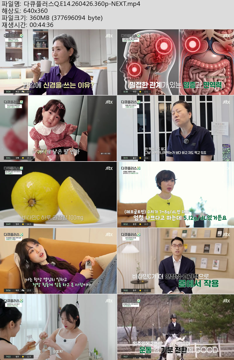 다큐플러스Q.E14.260426.360p-NEXT